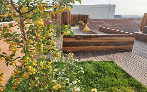 亮点德胜实拍图2