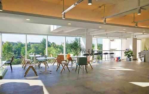 亮点德胜实拍图3